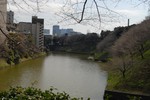 070321千鳥ヶ淵?
