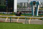 070526東京11R欅Sゴール前