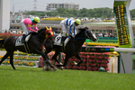 070602東京5Rゴール前