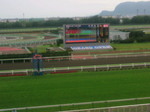 2010071015440000.jpg